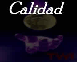 Traducción de calidad