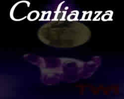 Traducción en idiomas que genera confianza.