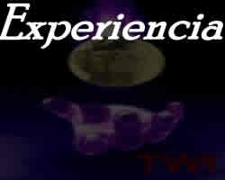 Traductores con experiencia en varios idiomas.